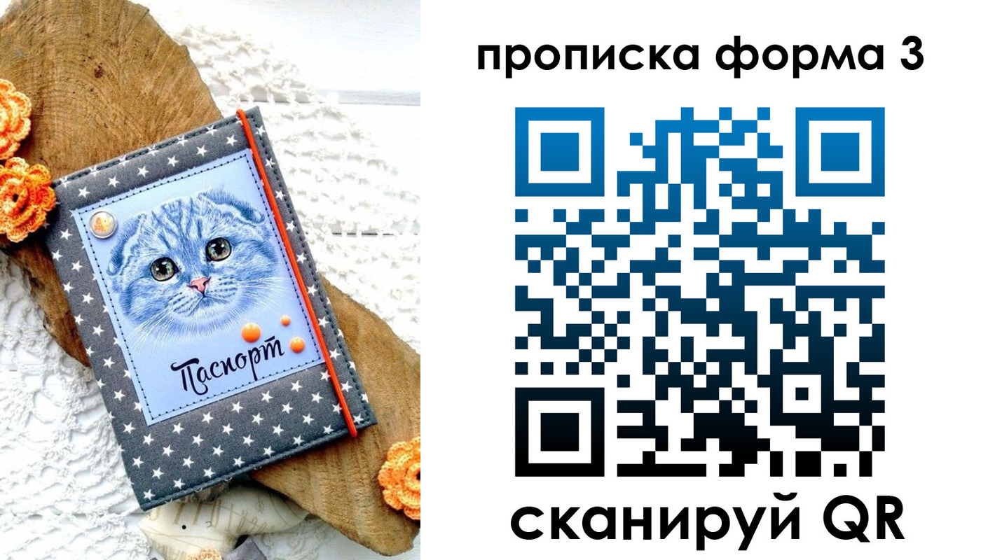 прописка поиск в Дмитрове